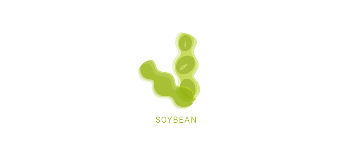 SOY-CELL